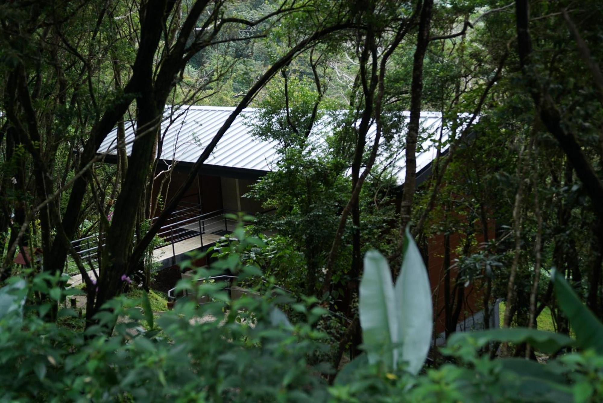 Koora Monteverde A Cloud Forest Hotel By Sandglass Екстериор снимка