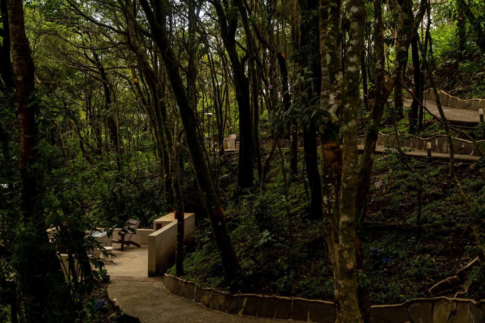 Koora Monteverde A Cloud Forest Hotel By Sandglass Екстериор снимка